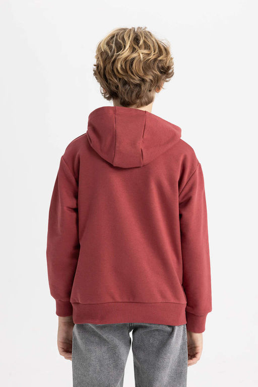 Толстовка с капюшоном и принтом для мальчика - Defacto фото 6