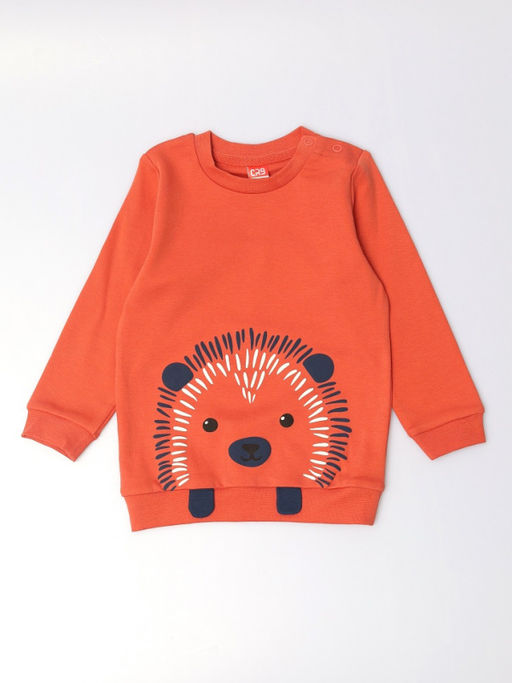 CRB wear / CWBB 90278-33-429 Комплект для мальчика (джемпер, брюки),терракотовый  фото 2