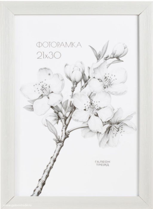 Фоторамка 21x30 / 2009C-012A /