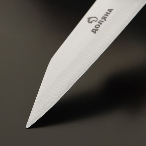 Нож для овощей Доляна Ecology, лезвие 8,5 см  фото 2