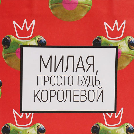 Пакет подарочный Королева, 22 х 22 х 11 см - Дарите счастье фото 4