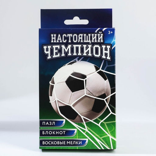Подарочный набор, блокнот - раскраска, мелки 4 шт. «Настоящий чемпион»