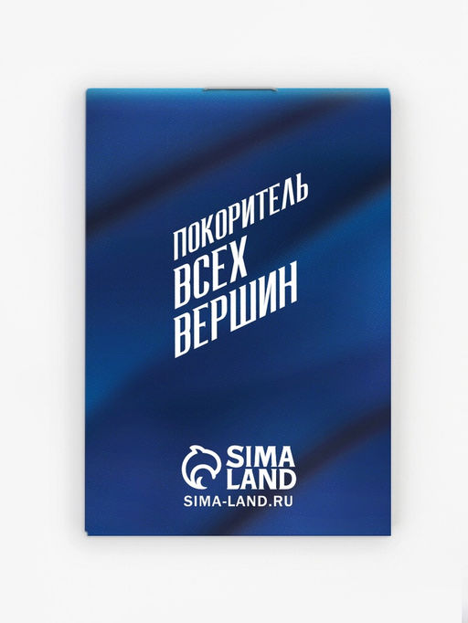 Цена за 2 шт. Подарочный набор С праздником настоящих мужчин, блокнот, карандаши 2 шт., ч/г, значок-дерево - Artfox фото 3