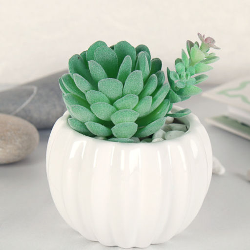 Суккулент искусственный 2,5х9 см / GN113 /уп 100/ - Галеонтрейд фото 3