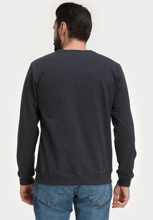 Свитшот мужской GREG G121-OZ02-30 (антрацит м.)  фото 2