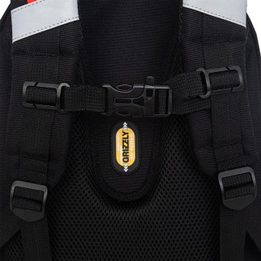 RAz-587-15 Рюкзак школьный - Grizzly фото 10
