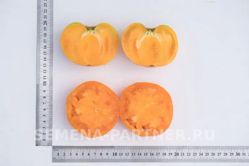Томат Амана Оранж - Партнер фото 7