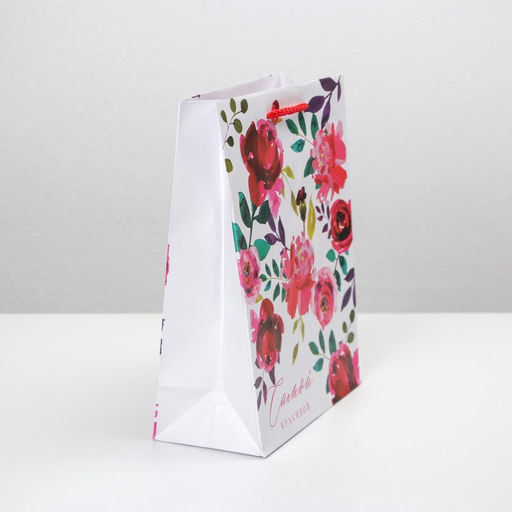 Цена за 2 шт. Пакет подарочный ламинированный, упаковка, Present for you, MS 18×23×8 см