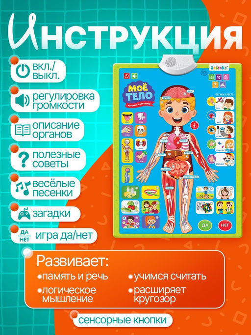 Обучающий плакат «Изучаем анатомию: Моё тело»