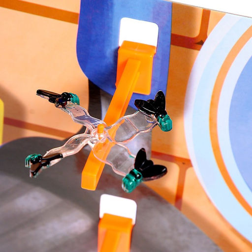 Настольная игра Битва шефов - Лас играс kids фото 18