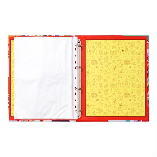 Папка школьная на кольцах «Портфолио школьника», 10 листов-разделителей, 24.5×32 см