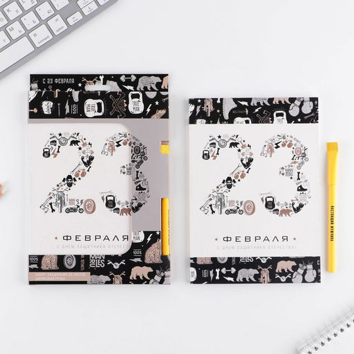 Подарочный набор, ежедневник А5, 80 листов и эко ручка «23 февраля»