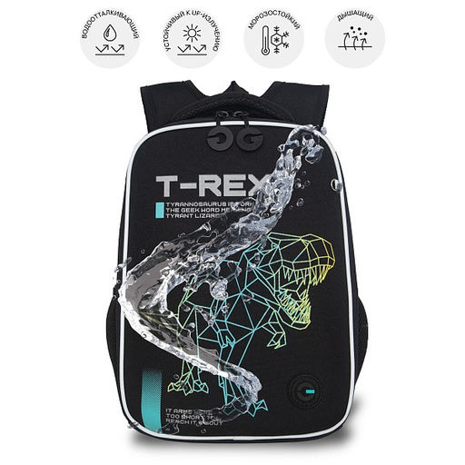 RAw-595-1 Рюкзак школьный