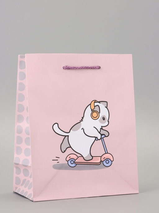 Цена за 2 шт. Пакет подарочный ламинированный «СамоКотик» 18×22.3×10 см