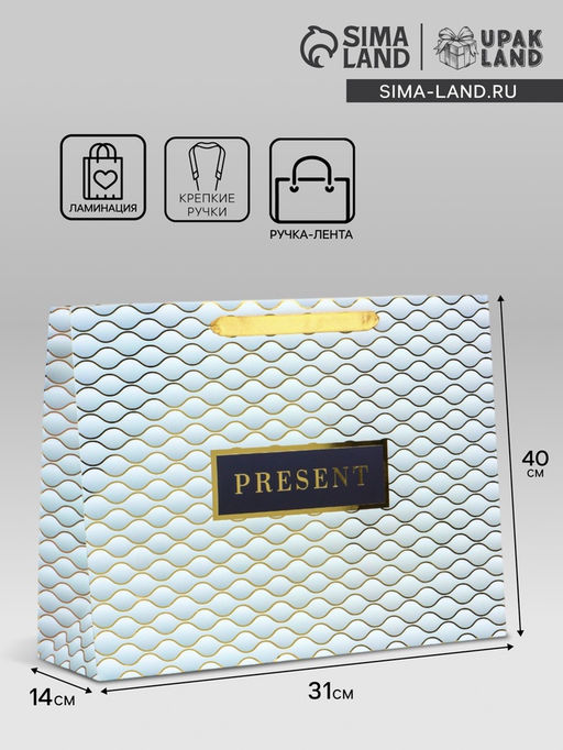 Пакет подарочный ламинированный горизонтальный Present, L 40×31×14 см