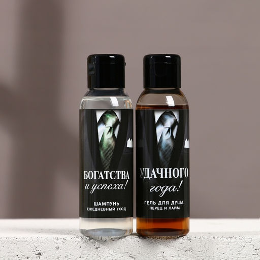 Подарочный набор новогодний мужской «Успехов в году»: гель для душа и шампунь для волос, 2×100 мл, Чистое счастье