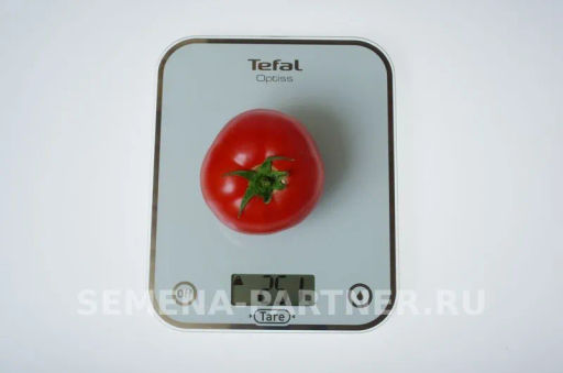 Томат Фрося F1 - Партнер фото 2