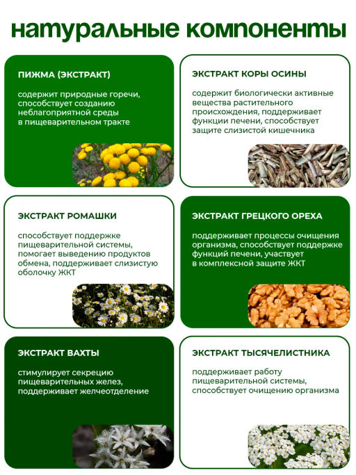 Бад Фитосбор Фитол-17 Антипаразитарный Алфит Плюс 1873  фото 4