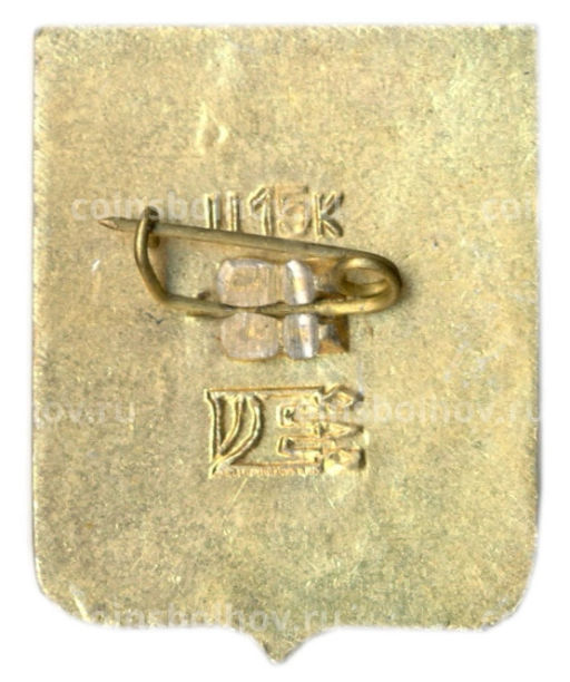 Значок Николаев