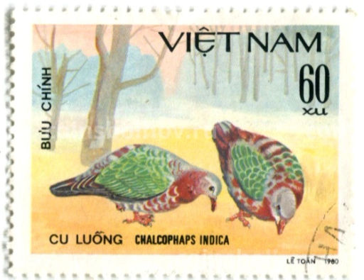 Марка Изумрудный голубь 1980 год Вьетнам