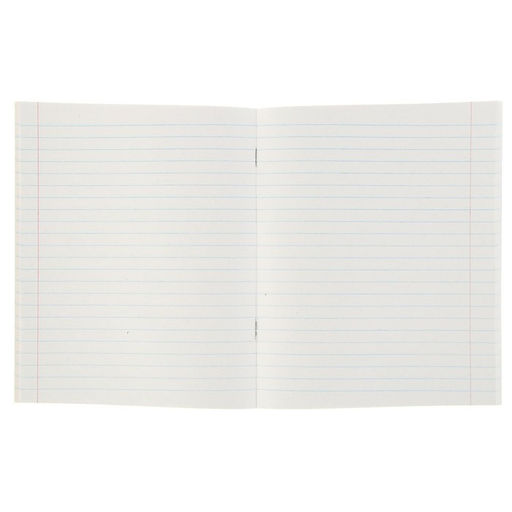 Комплект тетрадей из 5 штук (4 разные + 1 повторяющаяся), 48 листов в линию Calligrata «Мегаполис», обложка мелованная бумага, блок №2, белизна 75% (серые листы)