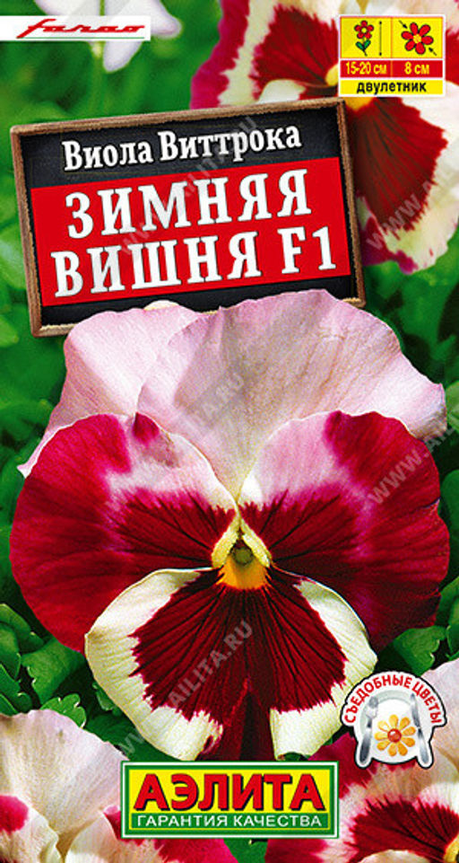 1327A Виола Зимняя вишня F1 7шт