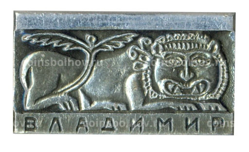 Значок Владимир