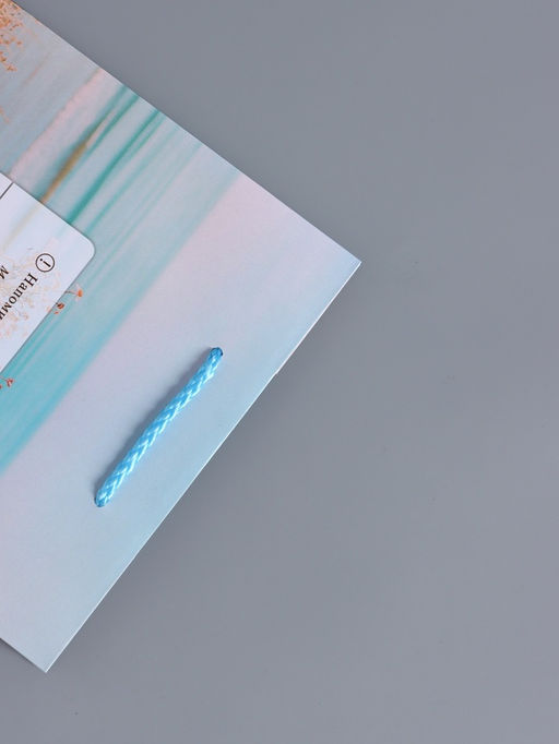 Пакет подарочный ламинированный «Путь к мечте», 18×22.3×10 см