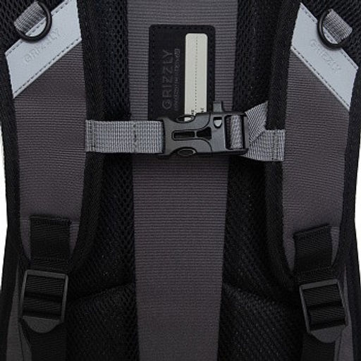 RB-450-3 Рюкзак школьный - Grizzly фото 35