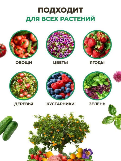 ЦИОН Классик (пролонгированное питание для растений), 450 гр