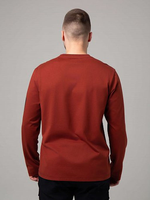 E2504-7 лонгслив мужской - Strobbs фото 4