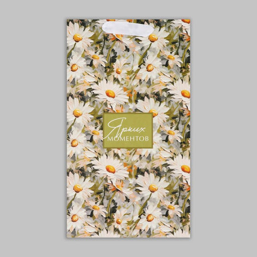 Пакет подарочный под две бутылки, упаковка, «Яркие моменты», 35×20×9 см