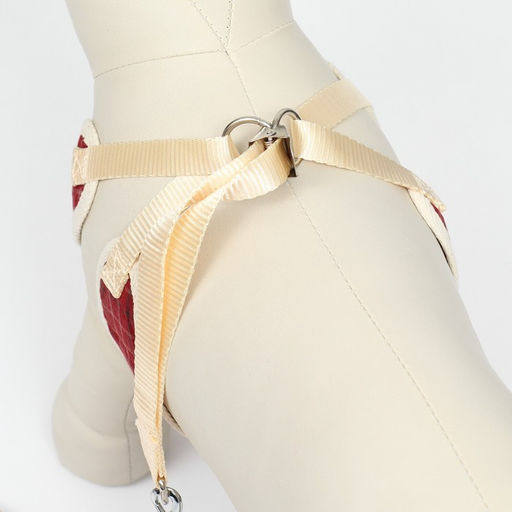 Комплект с мягкой шлейкой Клетки, размер S, поводок, 120 х 1,5 см, ОГ 28-62 см, красный - Пижон фото 4