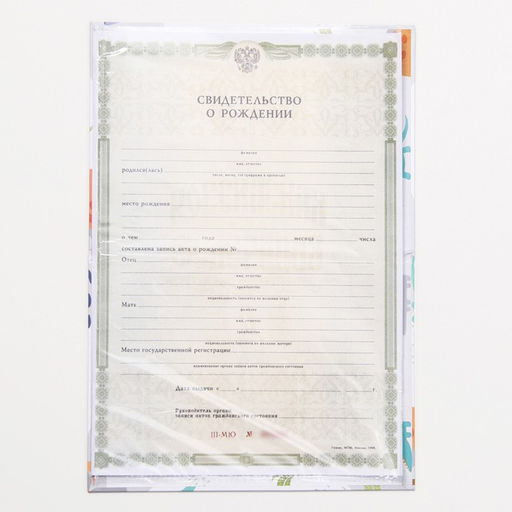 Папка для свидетельства о рождении, А5 «Динозаврики»