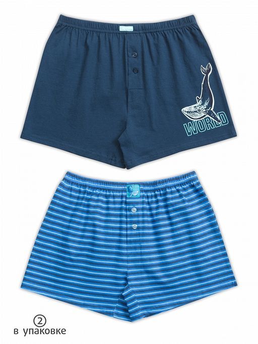 BUB4223(2шт. в упаковке) трусы для мальчиков