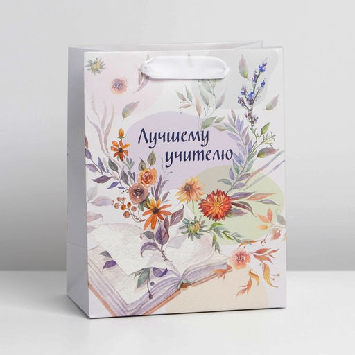 Цена за 2 шт. Пакет подарочный ламинированный, упаковка, «Лучшему учителю», MS 18×23×10 см