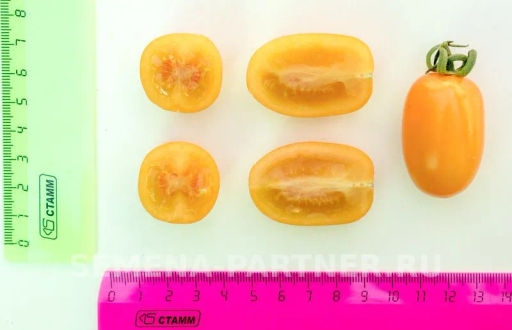 Томат Черри Магнифика - Партнер фото 4