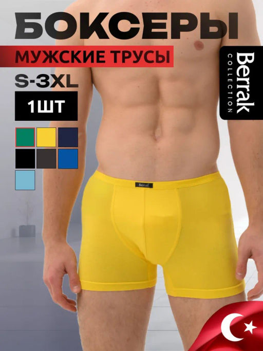 Мужские трусы Berrak 4488