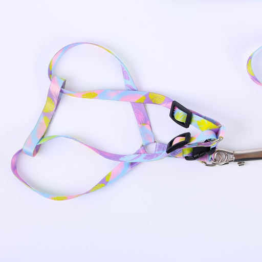 Комплект Листья, шлейка 24-36 см, поводок 120х1 см - Пушистое счастье фото 2