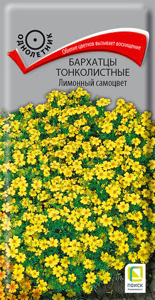 Бархатцы (Тагетес) тонколистные Лимонный самоцвет (ЦВ) (1) 0,1гр. - Поиск фото 2