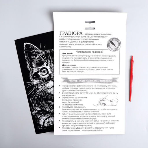 Гравюра Котёнок с металлическим эффектом серебро А4 - Школа талантов фото 5