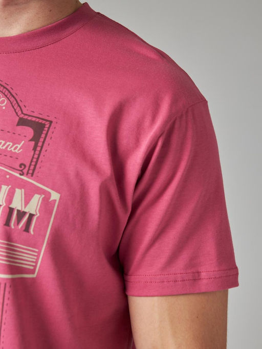 Футболка мужская арт. 02285/Denim