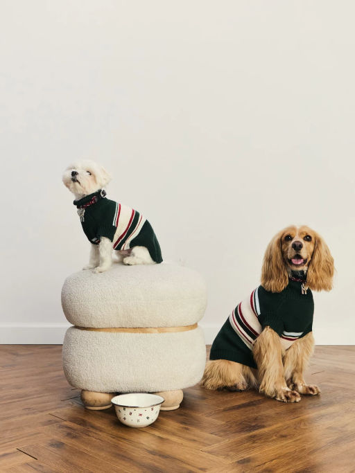 джемпер (попона) для животных / Zarina  фото 3