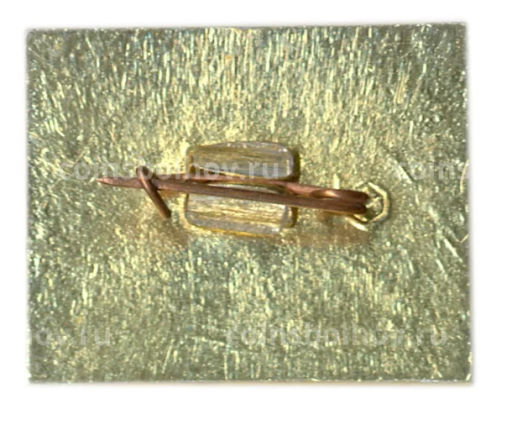 Значок Фестиваль искусств СССР