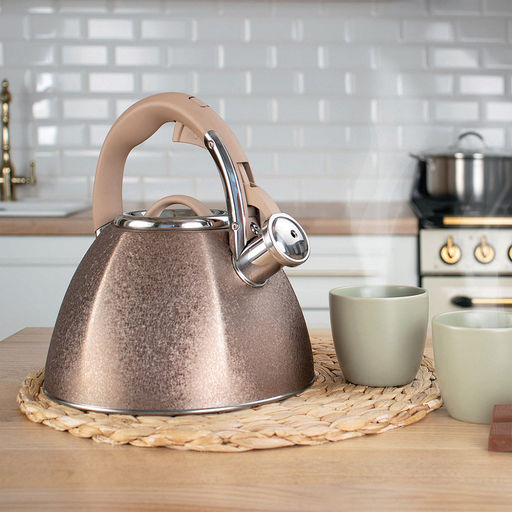 Чайник из нержавеющей стали 3л Айгрет s0,5мм, дно д22см, s0,5мм, индукционный диск д16,5см, со свистком, внешняя полировка свистка, внутренняя - матовая, пластмассовая ручка с покрытием soft-touch, цветная коробка , TalleR (Китай) - Домашняя мода фото 4