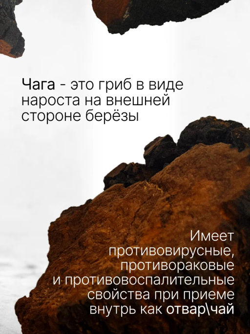 Чага, березовый гриб порошок 100г (состав: 100% порошок из чаги) - Sneko Gold фото 2