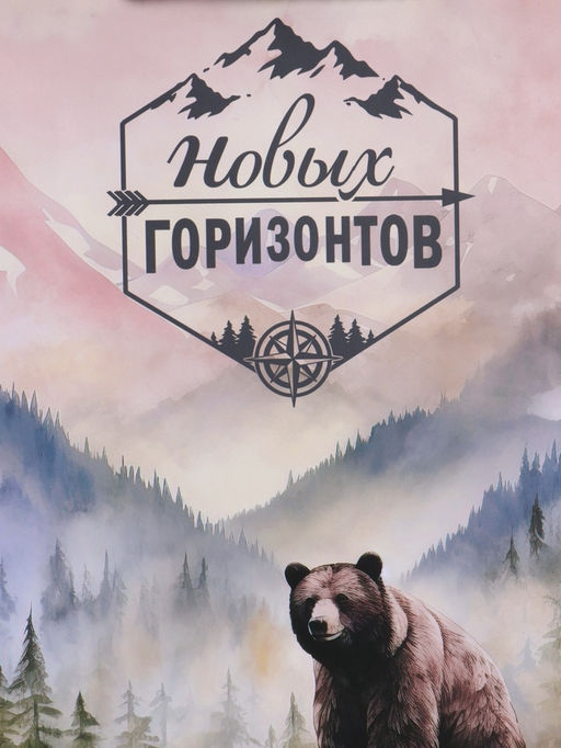 Пакет подарочный ламинированный «Северный характер», 26×12×32 см