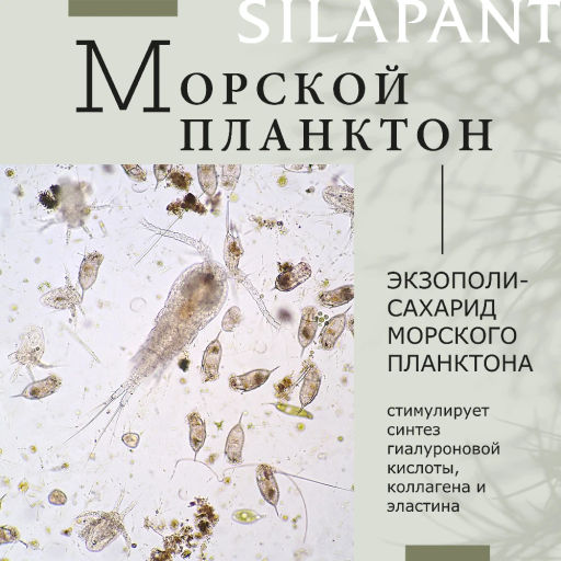 Силапант Дневной крем для лица