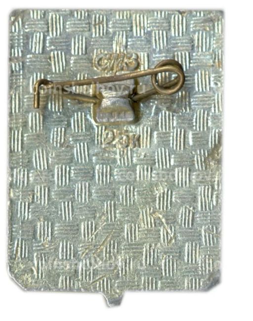 Значок Дорогобуж