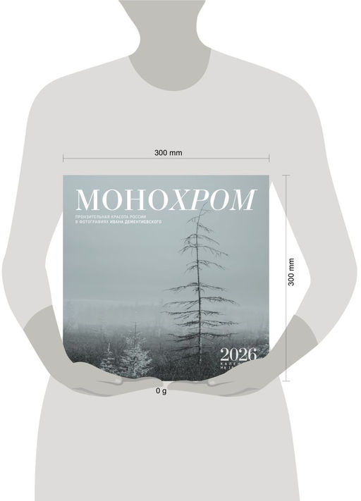 Монохром. Пронзительная красота России в фотографиях Ивана Дементиевского. Календарь настенный на 16 месяцев на 2026 год (300х300 мм)